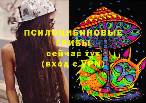 мяу мяу мука Балабаново