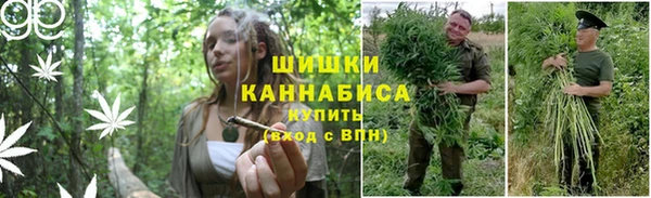 мяу мяу мука Балабаново