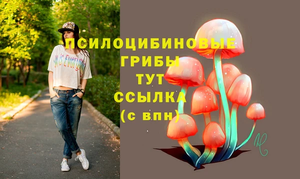 Альфа ПВП Сосновоборск